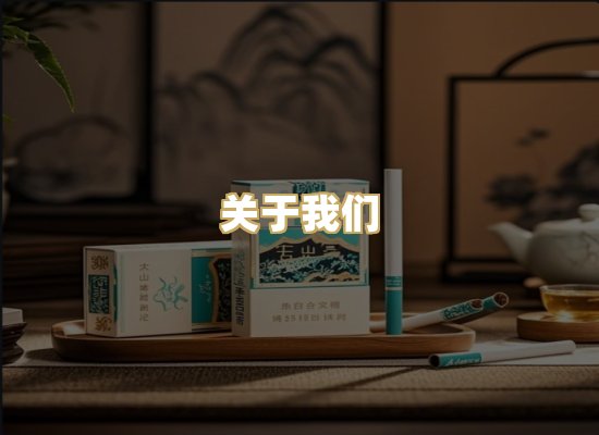 关于我们